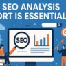 Why a Free SEO Analysis Report is Essential?
