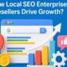 How Local SEO Enterprise Resellers Drive Growth?