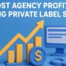 Boost Agency Profits Using Private Label SEO